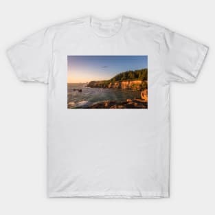 Elk Head at golden hour T-Shirt